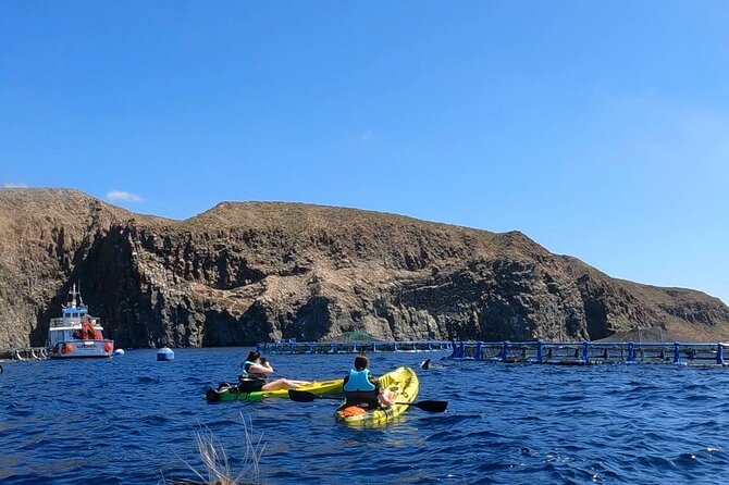 Guided Kayak Tour From Los Cristianos Beach Tenerife - Wildlife Observation