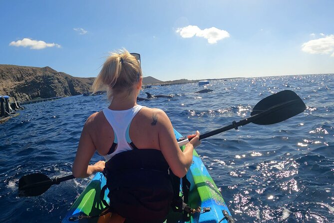 Guided Kayak Tour From Los Cristianos Beach Tenerife - Common Questions