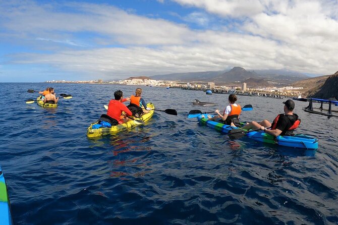 Guided Kayak Tour From Los Cristianos Beach Tenerife - The Sum Up