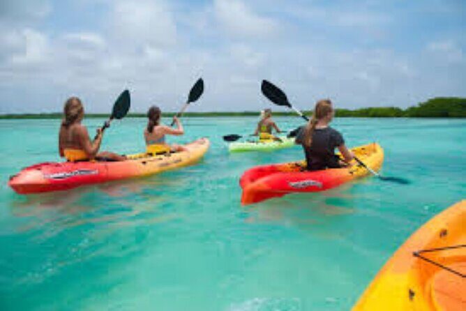 Guided Kayak Tour from Margaritaville - Meeting Point and Logistics