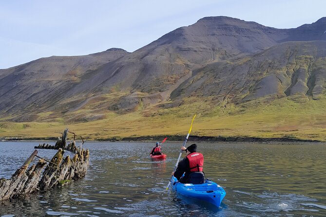 Guided Kayak Tour in Siglufjörður / Siglufjordur. - Additional Info