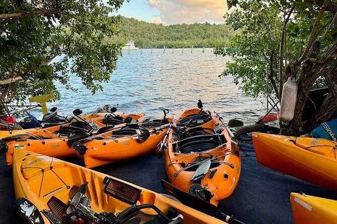 Guided Kayak Tour of Salt River Bay Ecology and History - What Makes This Kayak Tour Stand Out?