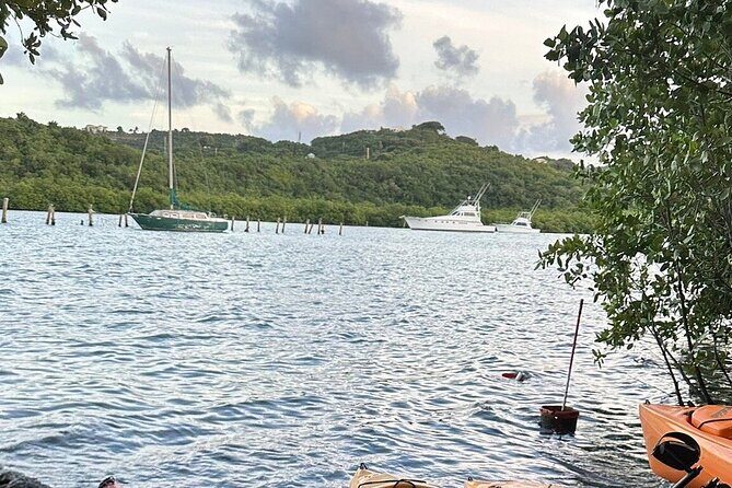 Guided Kayak Tour of Salt River Bay Ecology and History - An Itinerary That Balances Nature and History