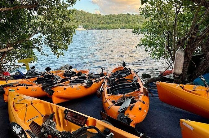 Guided Kayak Tour of Salt River Bay Ecology and History - Additional Details and Practical Tips