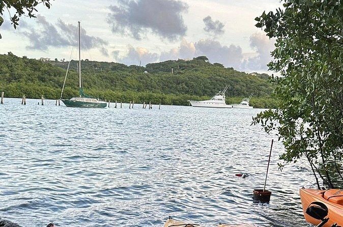 Guided Kayak Tour of Salt River Bay Ecology and History - Who Will Love This Experience?