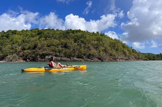 Guided Kayak Tour of Salt River Bay Ecology and History - The Sum Up