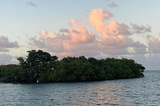 Guided Kayak Tour of Salt River Bay Ecology and History - FAQ