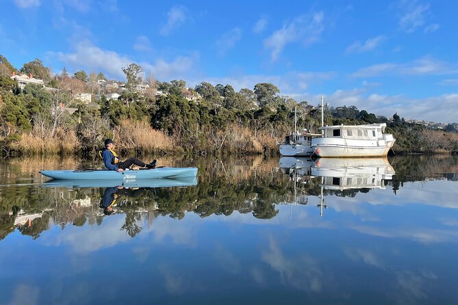Guided Kayak Tour on Launcestons Scenic Waterfront on Foot Powered Hobie Kayaks - Tour Overview and Experience