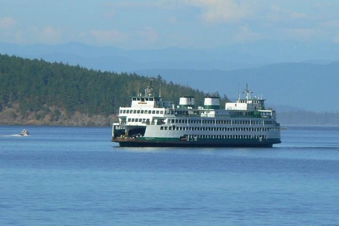 Guided Kayak Tour on San Juan Island - Adventure on San Juan Island