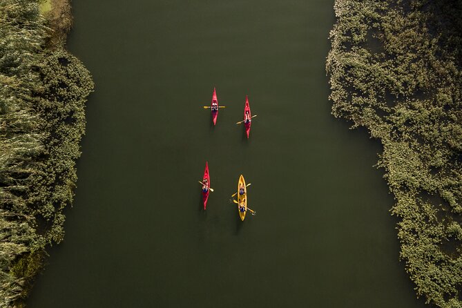 Guided Kayak Tour to Gracia Island - Tour Inclusions