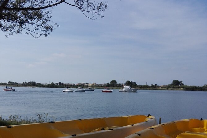 Guided Kayak Tour to Gracia Island - Common Questions