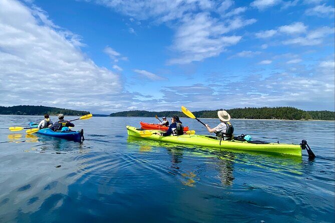 Guided Kayak Tour To Hope Island State Park - Good To Know