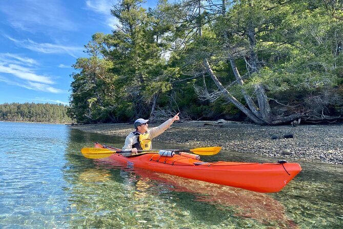 Guided Kayak Tour To Hope Island State Park - Why This Tour Works for Different Travelers