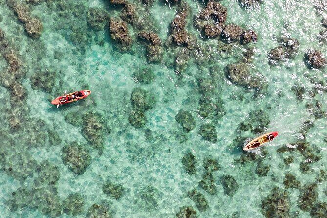 Guided Kayak Tour to Kailuas Twin Islands - The Sum Up: Is This Tour Worth It?