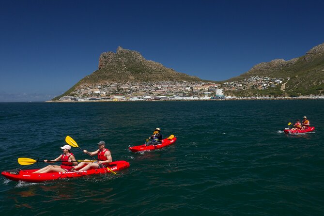 Guided Kayaking Adventure With Marine Life in Hout Bay - Equipment and Facilities Included