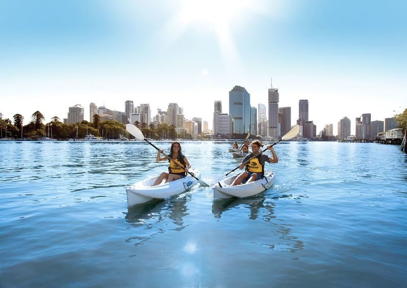 Guided Kayaking Day Tour in Brisbane - At a glance