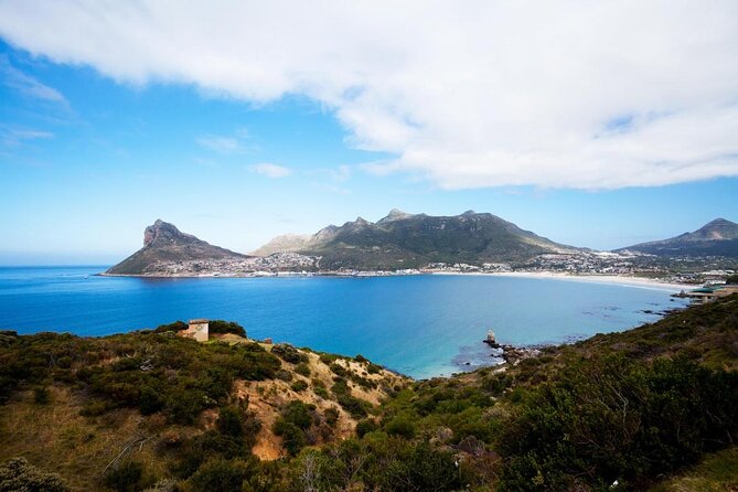 Guided Kayaking in Hout Bay - Pricing and Value