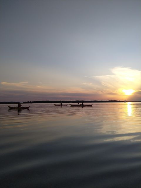 Guided kayaking on Roskilde Fjord: Sunset tour - An Authentic Sunset Kayaking Adventure on Roskilde Fjord