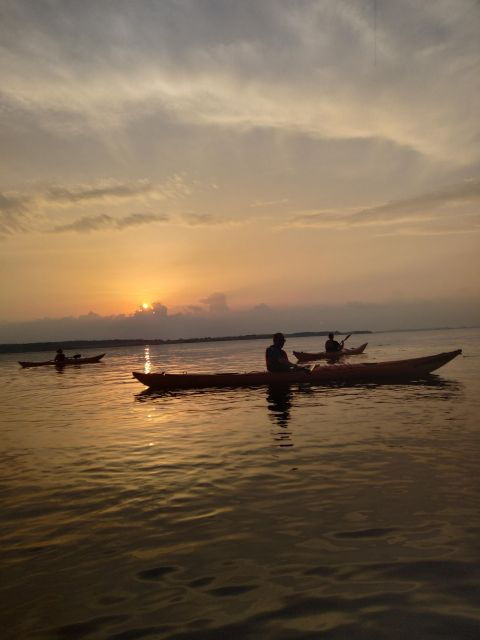 Guided kayaking on Roskilde Fjord: Sunset tour - Who Will Love This Experience?