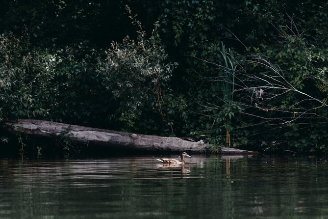 Guided Kayaking on the Nalón River Oviedo - Frequently Asked Questions