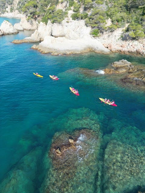 GUIDED KAYAKING TOUR - BEGINNER 1h 15m - Tour Overview