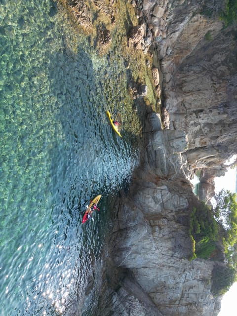 GUIDED KAYAKING TOUR - BEGINNER 1h 15m - Meeting Point and What to Bring