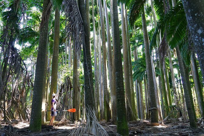 Guided Kayaking Tour of the Mitan Pond and its Mangrove - FAQ