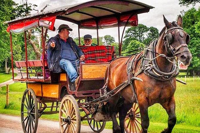 Guided Killarney National Park Tour - Booking and Cancellation Policy