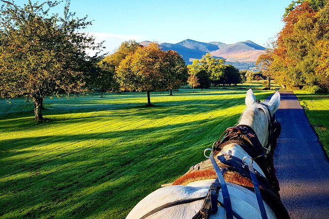 Guided Killarney National Park Tour - Common Questions