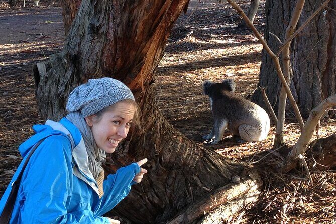 Guided Koala Walk and Bushfire ecology tour - Why This Tour is Worth Considering
