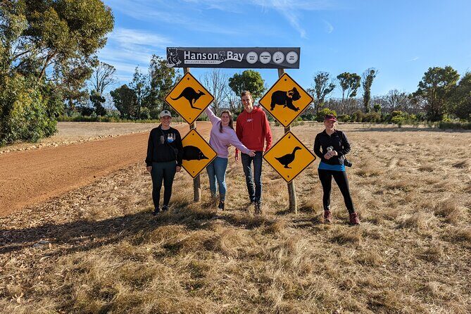 Guided Koala Walk and Bushfire ecology tour - Who Will Love This Tour?