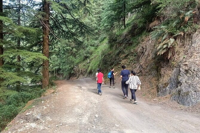 Guided Kora Circuit & Walking Tour Around McLeod Ganj - Who Will Enjoy This Tour Most?
