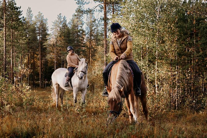 Guided Late Night Finnhorses Ride Experience in Rovaniemi - Inclusions and Services