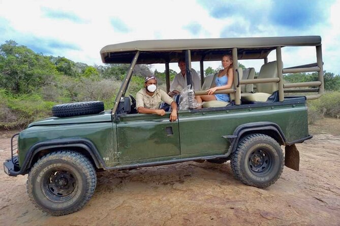 Guided Leopard Safari in Yala National Park in a Land Rover Defender - Reviews and Additional Information