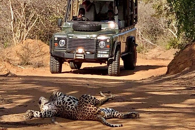 Guided Leopard Safari in Yala National Park in a Land Rover Defender - Directions to Yala National Park Ticket Counter