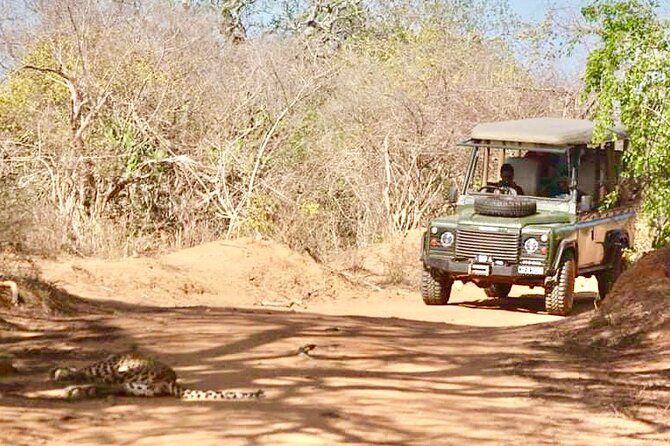 Guided Leopard Safari in Yala National Park in a Land Rover Defender - Common Questions