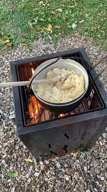Guided llamawalk with a traditional, homemade cheesefondue - Final Thoughts: Is This Tour Right for You?
