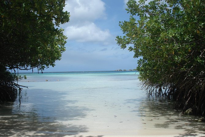 Guided Mangel Halto and Baby Beach Snorkeling Tour From Aruba - Common Questions