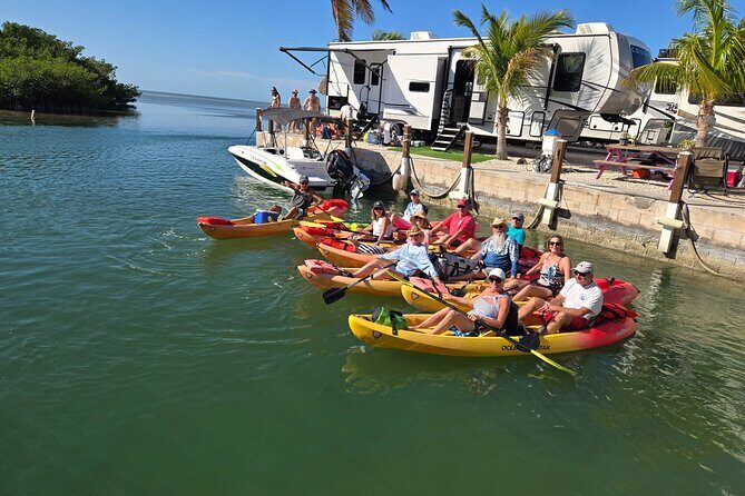 Guided Mangrove Eco Tours Kayak or Paddleboard Adventure - Who Will Love This Tour?