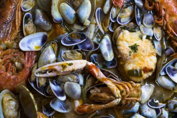 Guided Marine Life Excursion in Estepona - Frequently Asked Questions