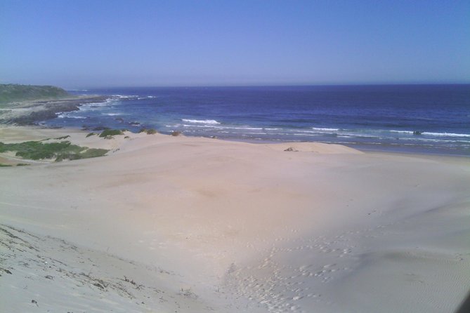 Guided Marine Walk: Sardinia Bay (Marine Protected Area) - 1 & Half Hour - Inclusions