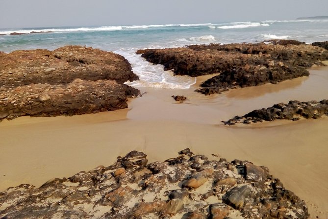 Guided Marine Walk: - Sardinia Bay (Marine Protected Area) - 2 Hours - Common Questions