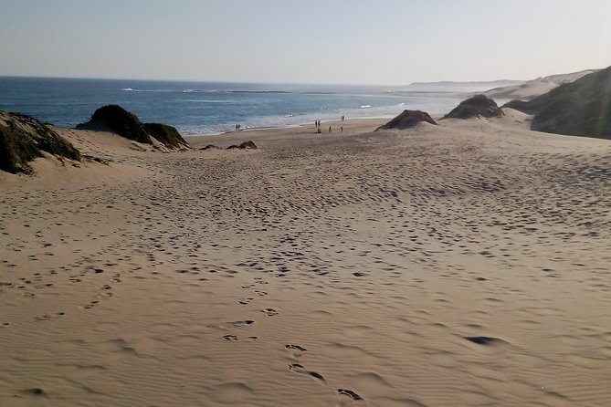 Guided Marine Walk: - Sardinia Bay (Marine Protected Area) - 3 Hours - Overview and Exploration