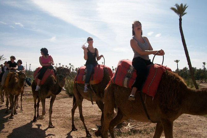 Guided Marrakech Camel Riding in Palm Grove + Minth Tae - Location Details