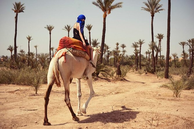 Guided Marrakech Camel Riding in Palm Grove + Minth Tae - Booking and Refund Policy