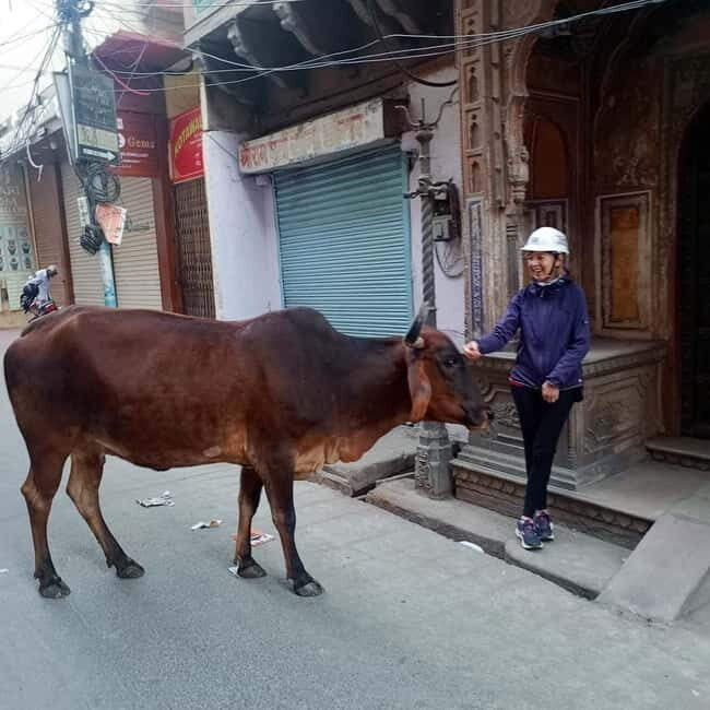 Guided Morning E-Rickshaw Ride with Food Tasting - FAQ