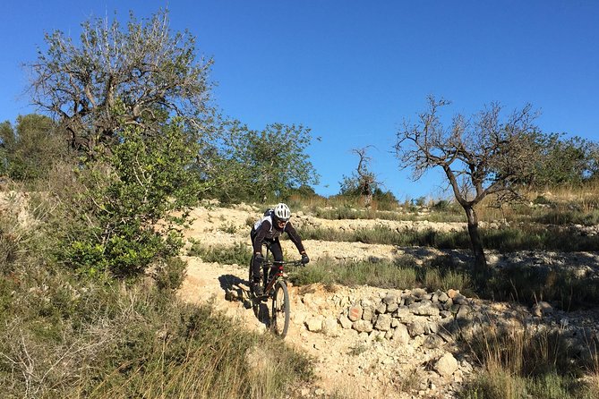 Guided Mountain Bike Route - "Pata Negra" Tour - Common Questions