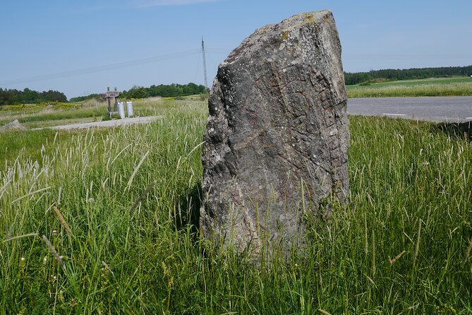 Guided Nature and History Experience 8h, Biskops-Arnö and Sigtuna From Stockholm - Common Questions