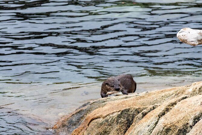 Guided Oceanside Private Hike - Final Thoughts