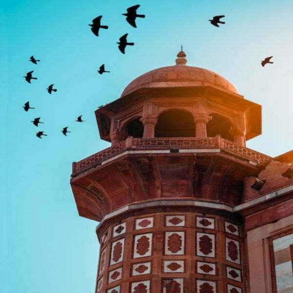 Guided Old & New Delhi Tour With Traditional Food Taste - Free Cancellation and Flexible Payment